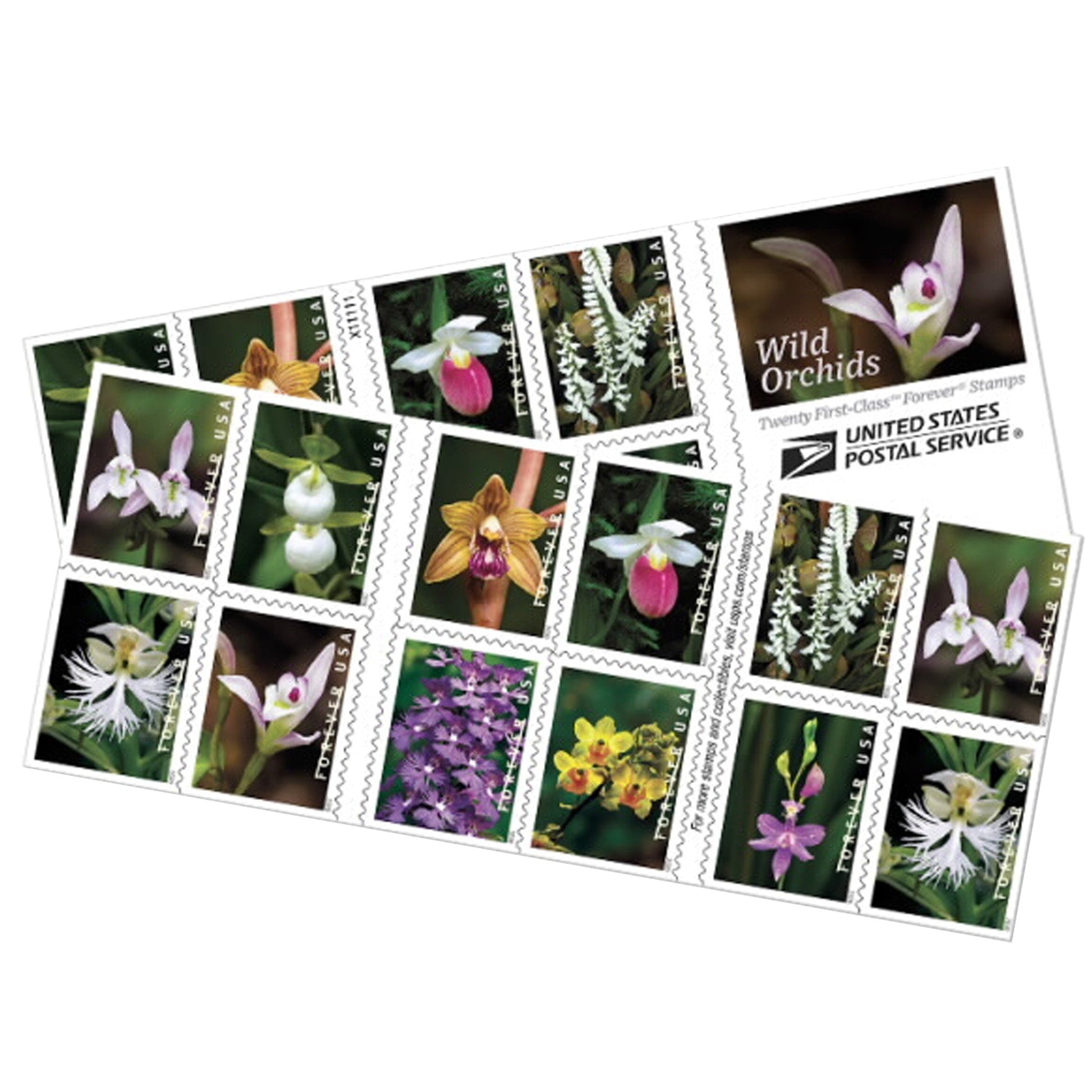 Wild Orchids Forever First Class Postage Stamps - Mailboxes of Flushing
